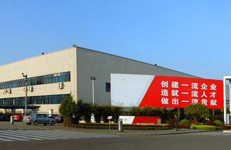 关于FB体育
