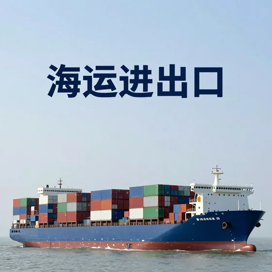 陆金生项目流程介绍